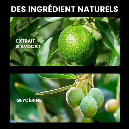 Crème BB Avocat ZOZU – Fond de Teint Hydratant et Correcteur